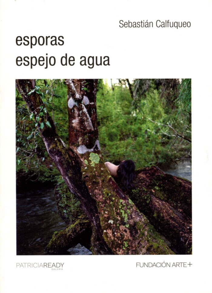 [VACÍO]