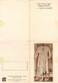 [Folleto muestra Carlos Leppe]